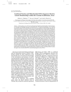 Combined Nuclear and Mitochondrial DNA Sequences Resolve