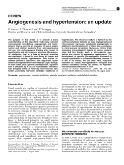 Angiogenesis and hypertension: an update