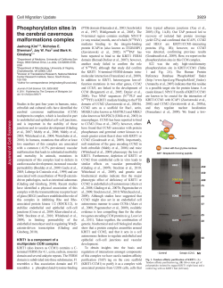 Phosphorylation sites in the cerebral cavernous malformations