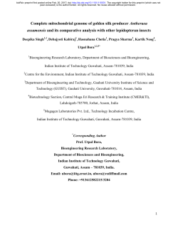 Complete mitochondrial genome of golden silk producer