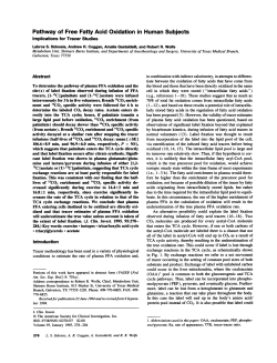 Pathway of Free Fatty Acid Oxidation in Human Subjects