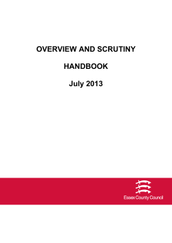 Scrutiny Handbook - Essex County Council