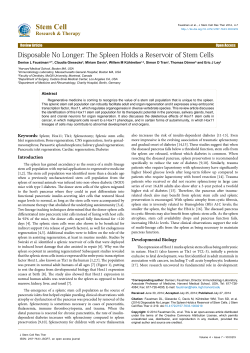 Disposable No Longer: The Spleen Holds a Reservoir of Stem Cells