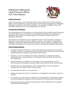 Job Description - Financial Officer