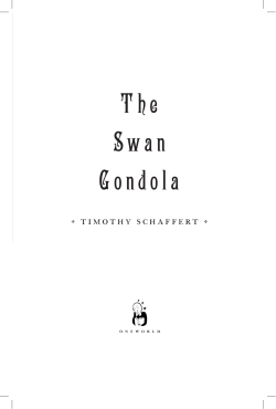 The Swan Gondola - Oneworld Publications