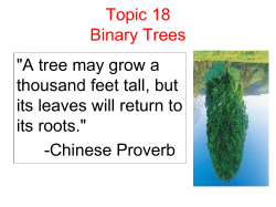 Topic 18 Binary Trees "A tree may grow a thousand feet tall, but its