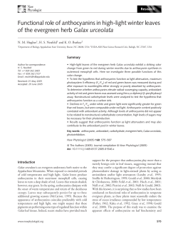 Functional role of anthocyanins in high