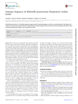 Genome Sequence of Klebsiella pneumoniae