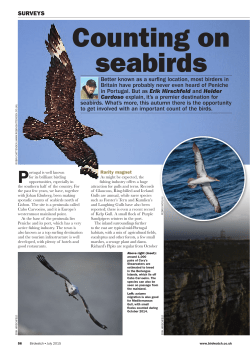 Get full article - Peniche Seabird Count