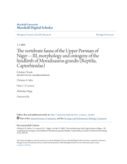 The vertebrate fauna of the Upper Permian of Nigerâ•ﬂIII