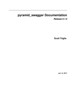 pyramid swagger Documentation