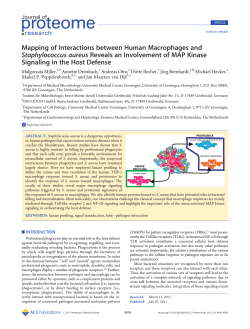 Mapping of Interactions between Human Macrophages and