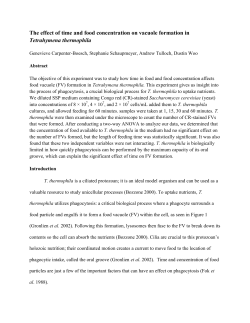 The effect of time and food concentration on vacuole formation in