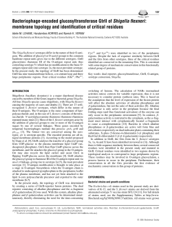 membrane topology and identification of critical residues