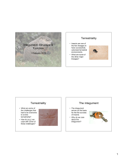 lecture 4 slides/page - University of San Diego Home