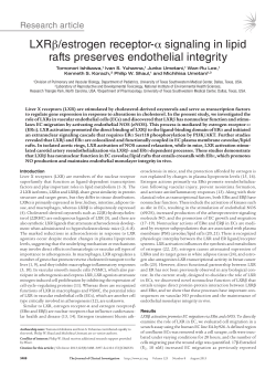 LXR&beta;/estrogen receptor-&alpha; signaling in lipid rafts preserves