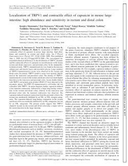 Localization of TRPV1 and contractile effect of capsaicin in mouse