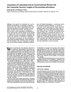 Association of Calmodulin and an Unconventional