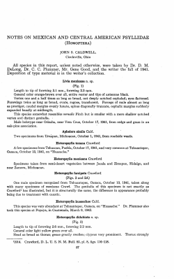 Notes on Mexican and Central American Psyllidae