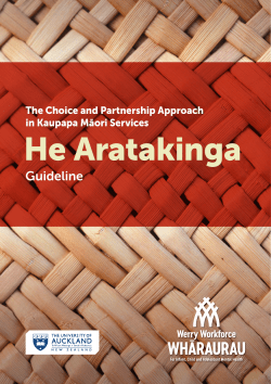 Guideline for Kaupapa Maori Services