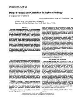 Purine Synthesis and Catabolism in Soybean Seedlings`