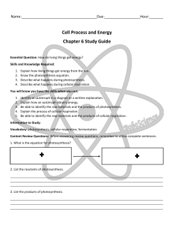 Cell Process and Energy Chapter 6 Study Guide