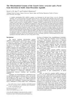 mbe.oxfordjournals.org - Oxford Academic