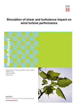 Simulation of shear and turbulence impact on wind