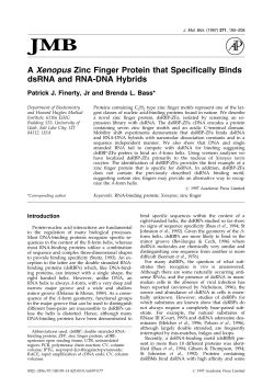 A Xenopus Zinc Finger Protein that Specifically Binds