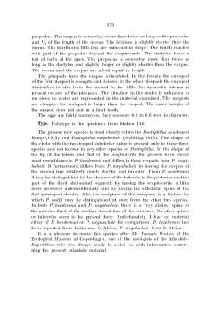 173 propodus. The carpus is somewhat more than twice as long as