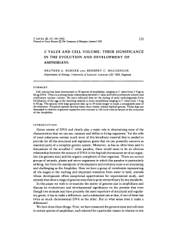 c value and cell volume: their significance in the evolution and
