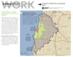 Manistee County retail leakage - Alliance for Economic Success