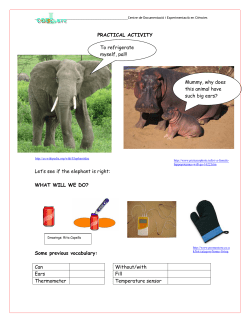 Let`s see if the elephant is right