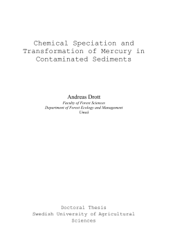 Chemical Speciation and Transformation of Mercury in