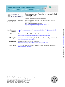 Lacking RANK Development and Function of Murine B Cells