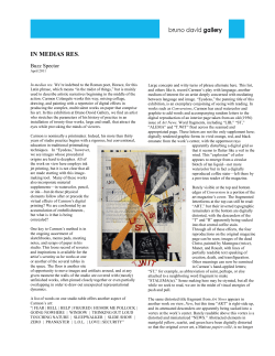 in medias res. - Bruno David Gallery