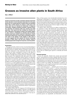 Grasses as invasive alien plants in South Africa