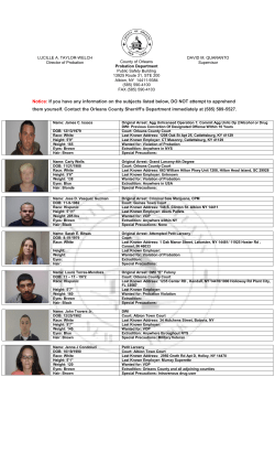 Probation Most Wanted