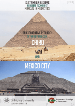 Sustainable business and clean technology markets in megacities