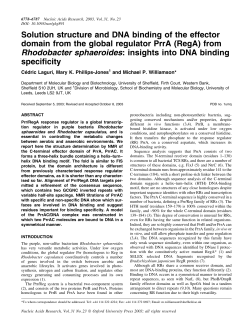 Solution structure and DNA binding of the effector domain from the