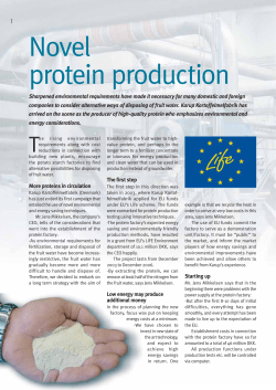 Novel protein production
