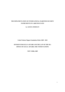 THE IMPLEMENTATION OF INTERNATIONAL MARITIME