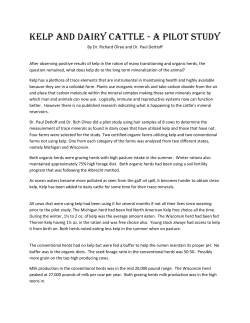 Kelp and Dairy Cattle - a Pilot Study