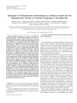 Disruption of Testosterone Homeostasis as a