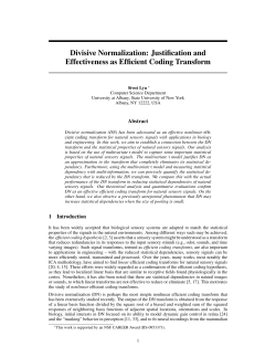 Divisive Normalization: Justification and Effectiveness as Efficient