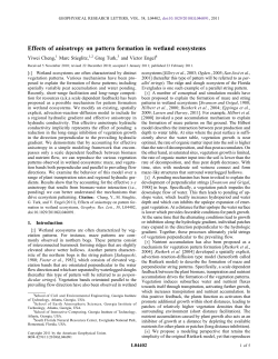 Effects of anisotropy on pattern formation in wetland ecosystems