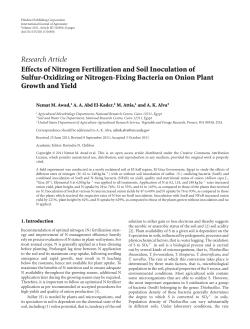 Effects of Nitrogen Fertilization and Soil Inoculation of Sulfur