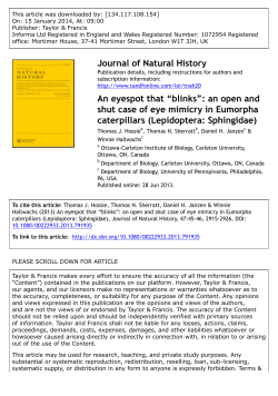 An eyespot that &ldquo;blinks&rdquo;