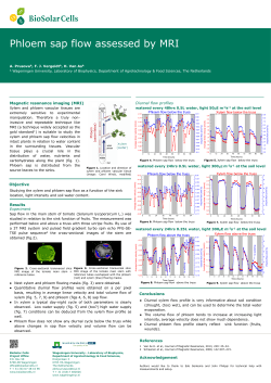 Poster_06_Prusova-Alena