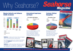 Seahorse Why Seahorse?